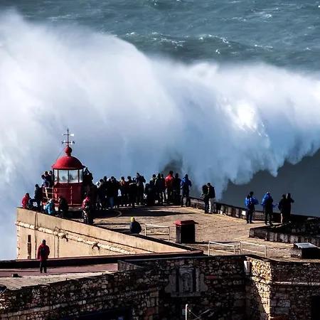 Appartamento Rosa House