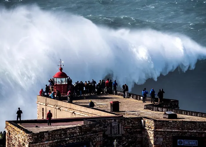 Apartamento Rosa House